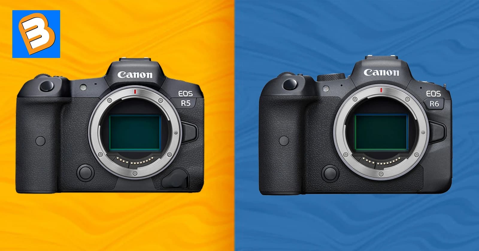Những thông tin mà bạn nên biết về EOS R5 và R6: bộ đôi mirrorless mạnh mẽ nhất nhà Canon